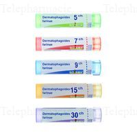 BOIRON DERMATOPH.FARIN. 15CH TU.GRAN.