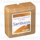 Boiron Pâte Sambucus Boîte de 70 g