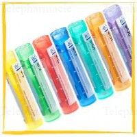 COLCHICUM AUTUM. 4CH TG BOI