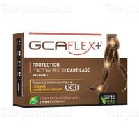 GCAFLEX+ GLS30 SANTE VERTE