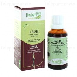 Cassis Mac&eacute;rat Concentr&eacute; de Bourgeons Bio 30ml